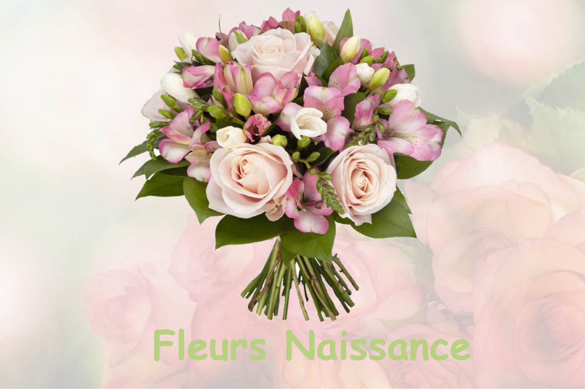 fleurs naissance HAN-SUR-MEUSE