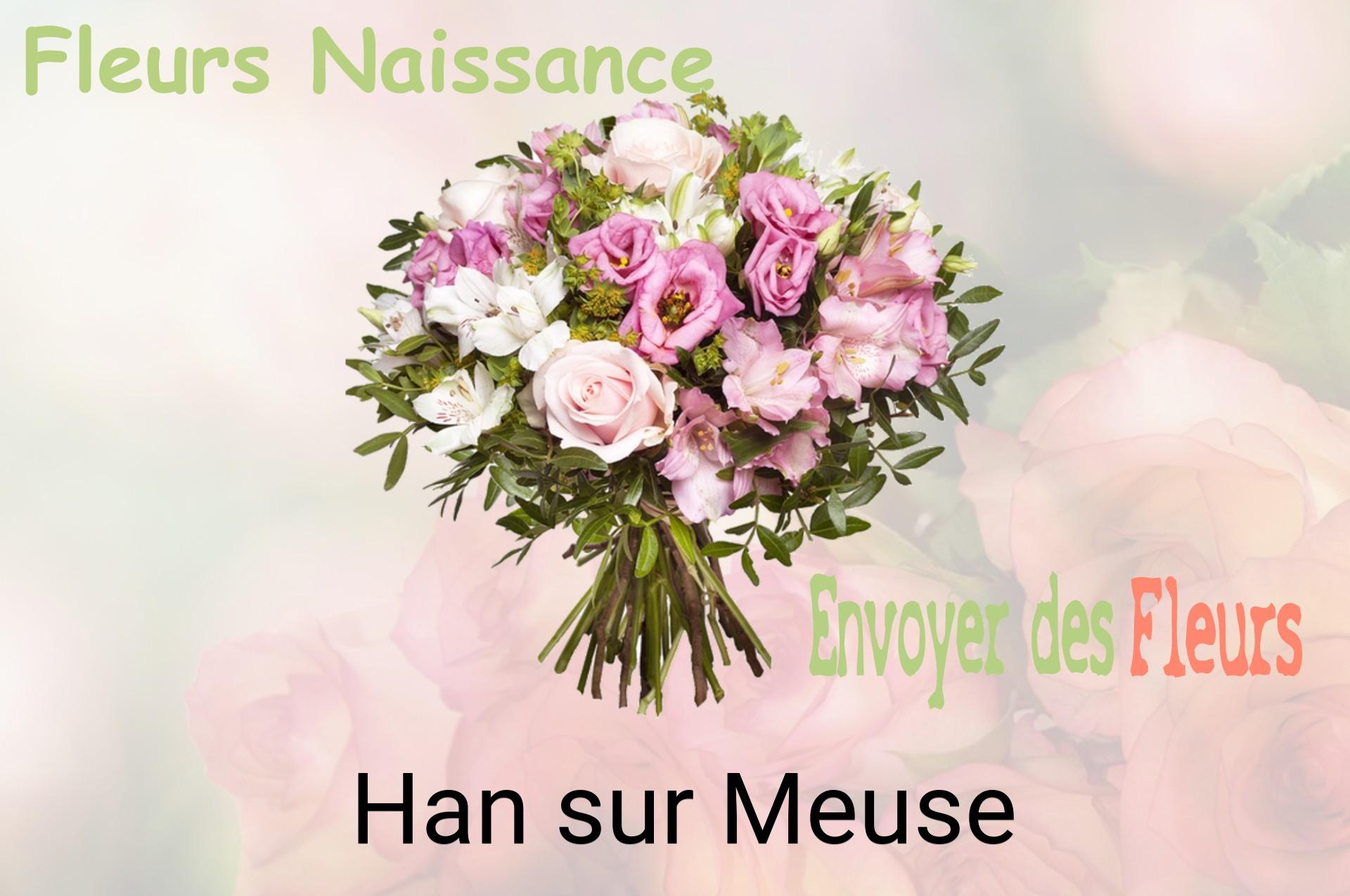 Bouquet de fleurs de naissance livré à Han-sur-Meuse