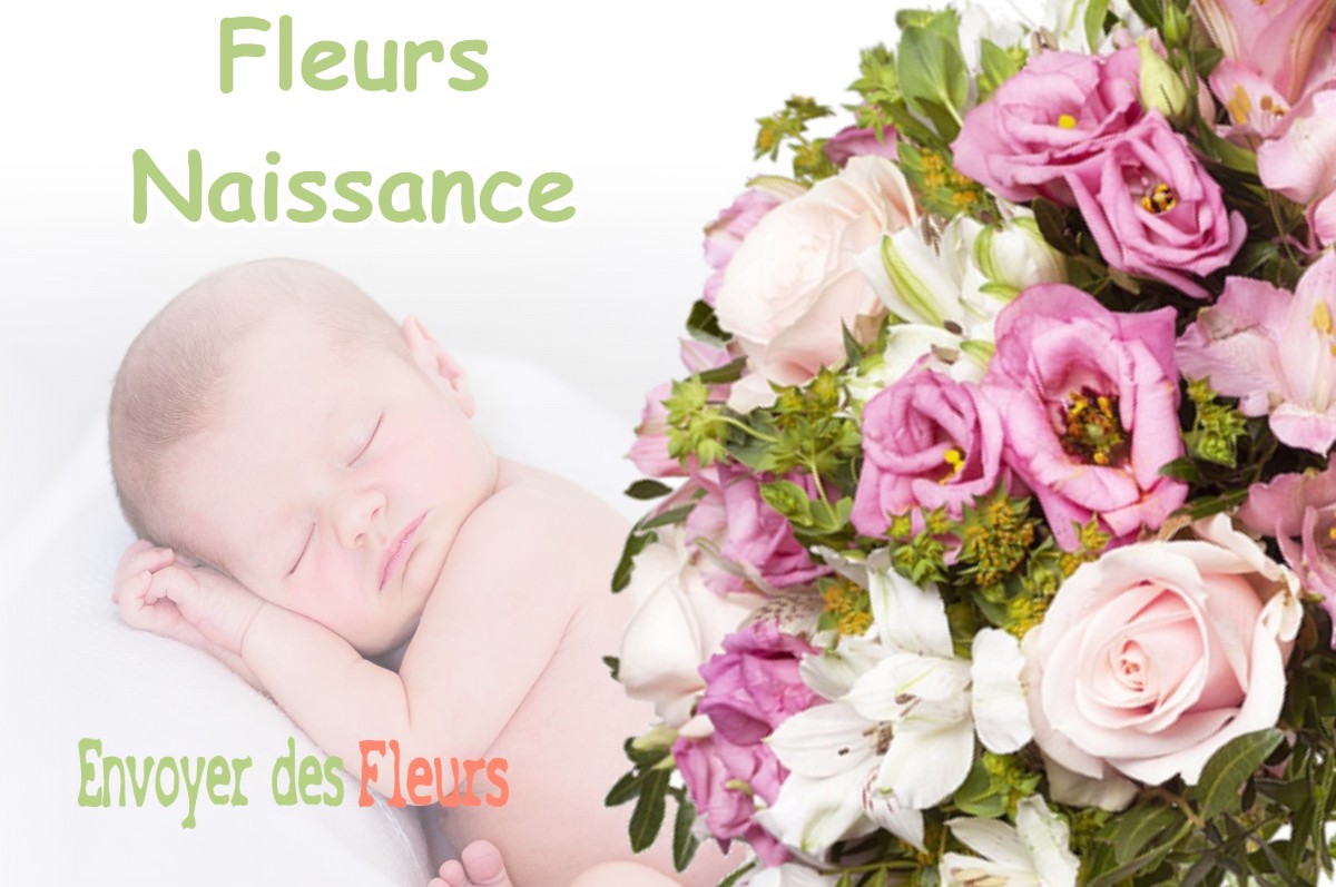 lIVRAISON FLEURS NAISSANCE à HAN-SUR-MEUSE